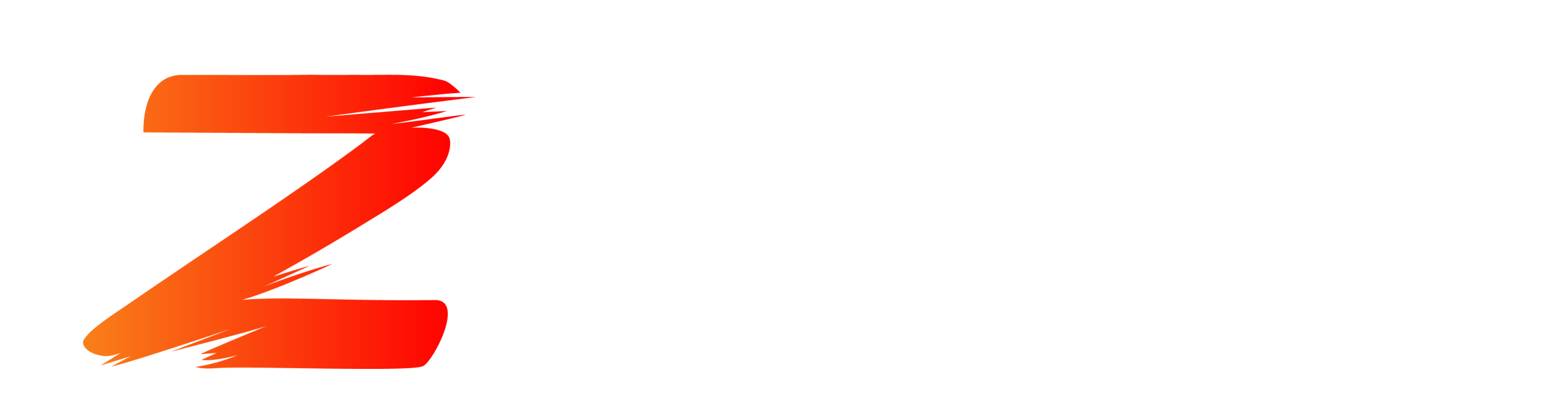 Logo Zetta Network White